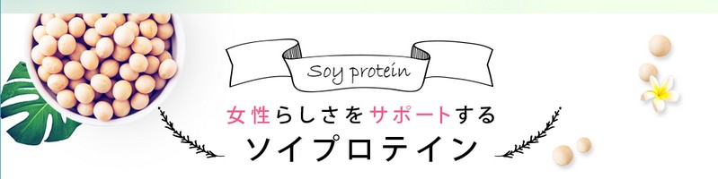 �W�F�V�J�Y�E�t�H�[�~�������T�C�g